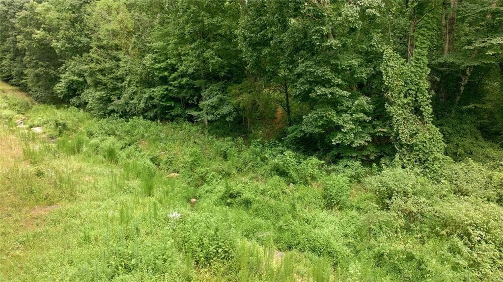 unimproved land for sale at 759 Fairview Road, Pendergrass, GA 30567 — photo 10