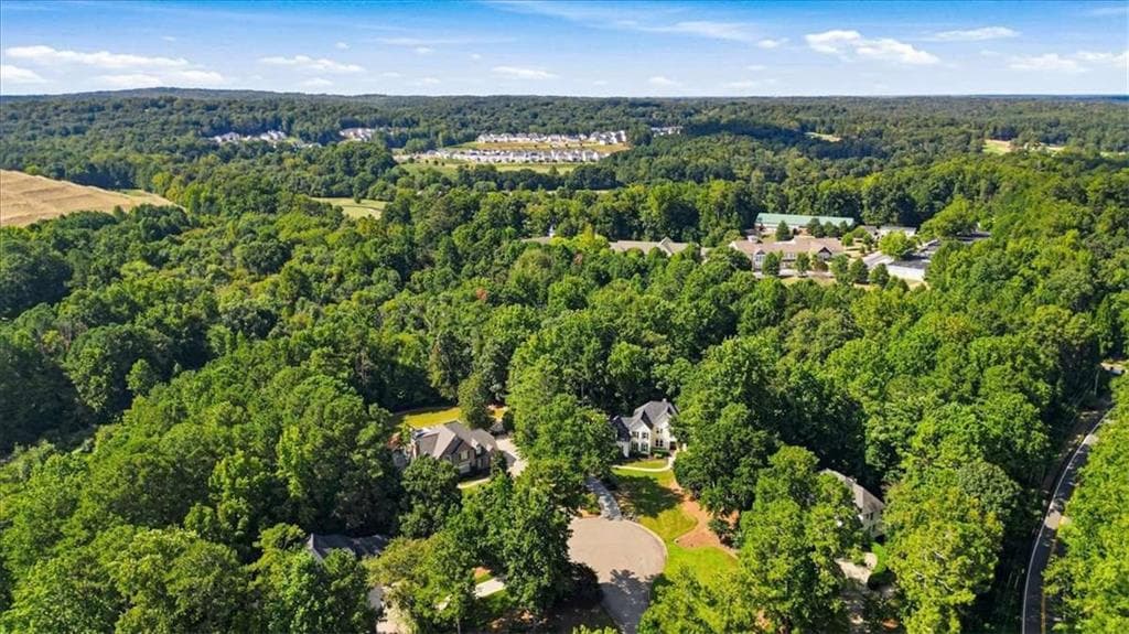 5 bedroom, 6 bathroom, 5,653 sq ft single family residence for sale at 115 Providence Lake Point, Milton, GA 30004 — photo 6
