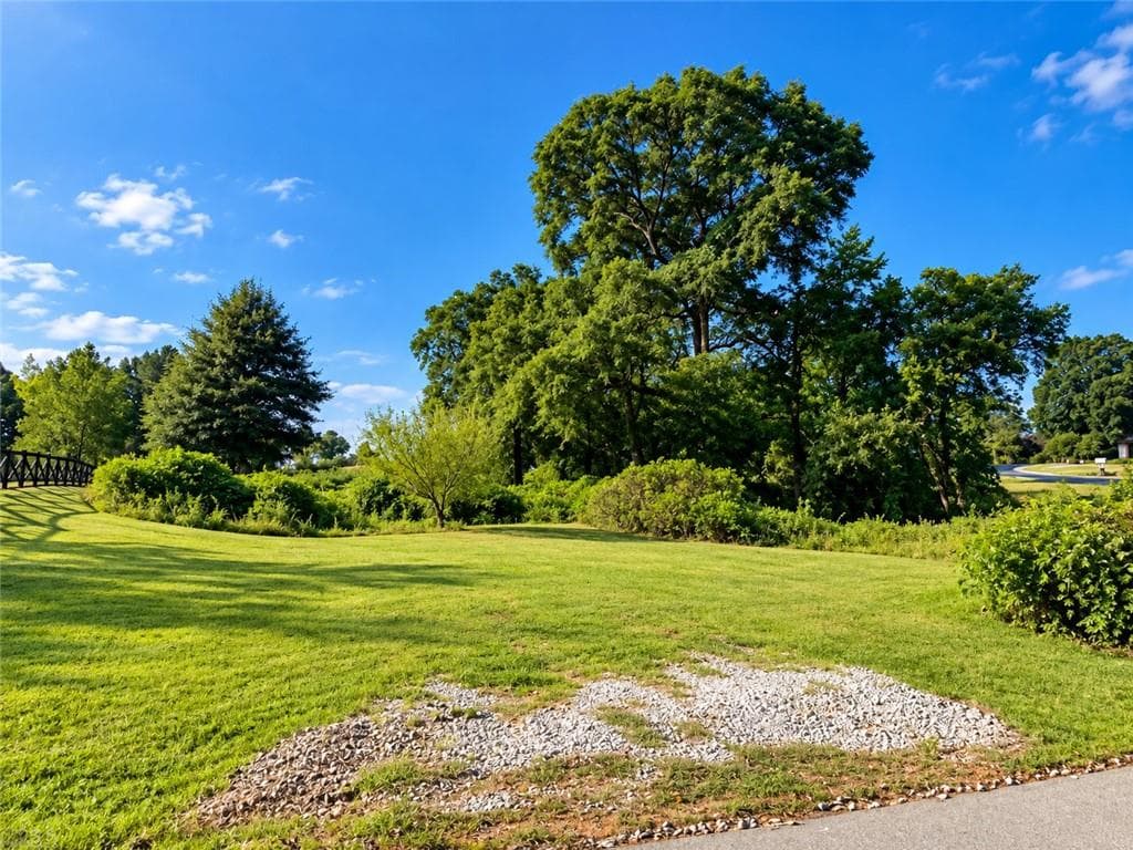 unimproved land for sale at 35 Walnut Lane, Covington, GA 30014 — photo 4