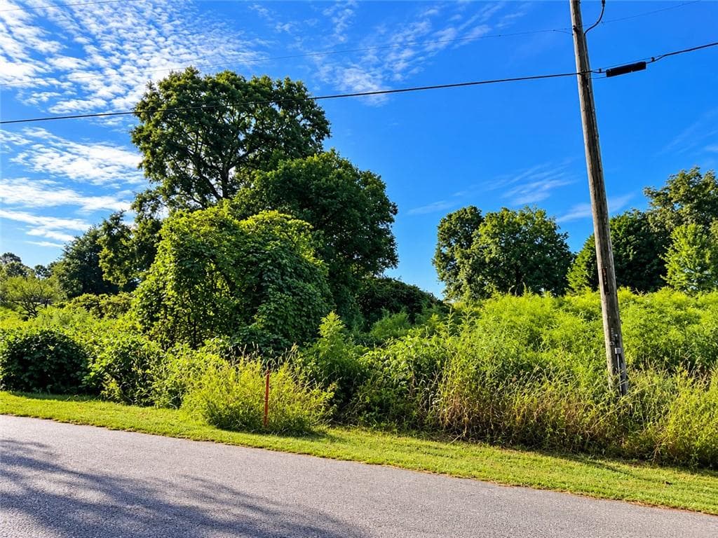 unimproved land for sale at 35 Walnut Lane, Covington, GA 30014 — photo 5
