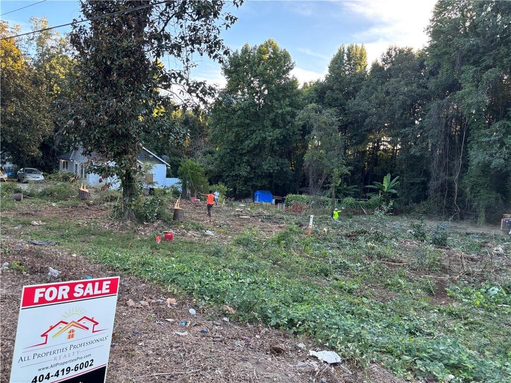 unimproved land for sale at 5547 Jonesboro Road, Morrow, GA 30260 — photo 3