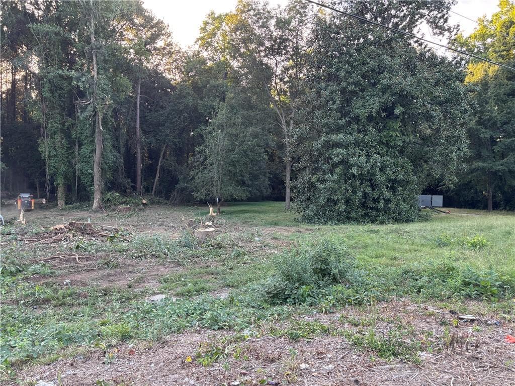 unimproved land for sale at 5547 Jonesboro Road, Morrow, GA 30260 — photo 4