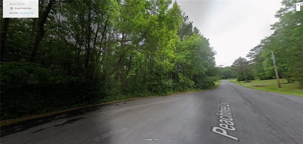 single family residence for sale at 0 Peachtree Lane, Newnan, GA 30265 — photo 2
