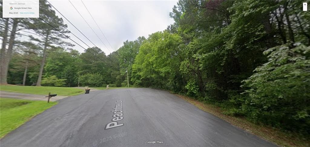 single family residence for sale at 0 Peachtree Lane, Newnan, GA 30265 — photo 3
