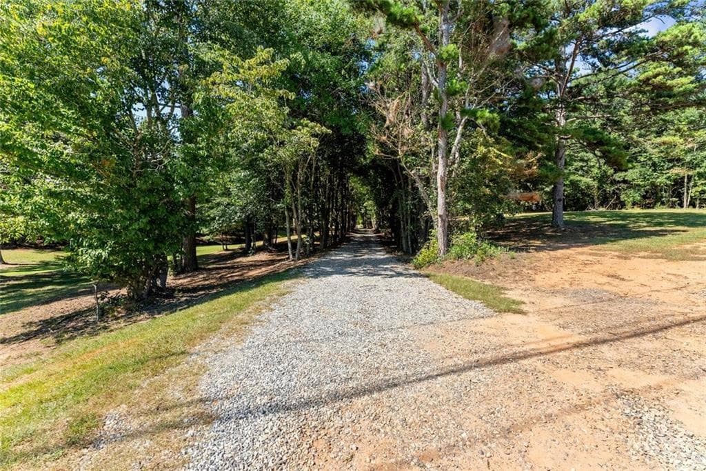 4 bedroom, 5 bathroom, 3,264 sq ft single family residence for sale at 901 Peachtree Cove, Demorest, GA 30535 — photo 5