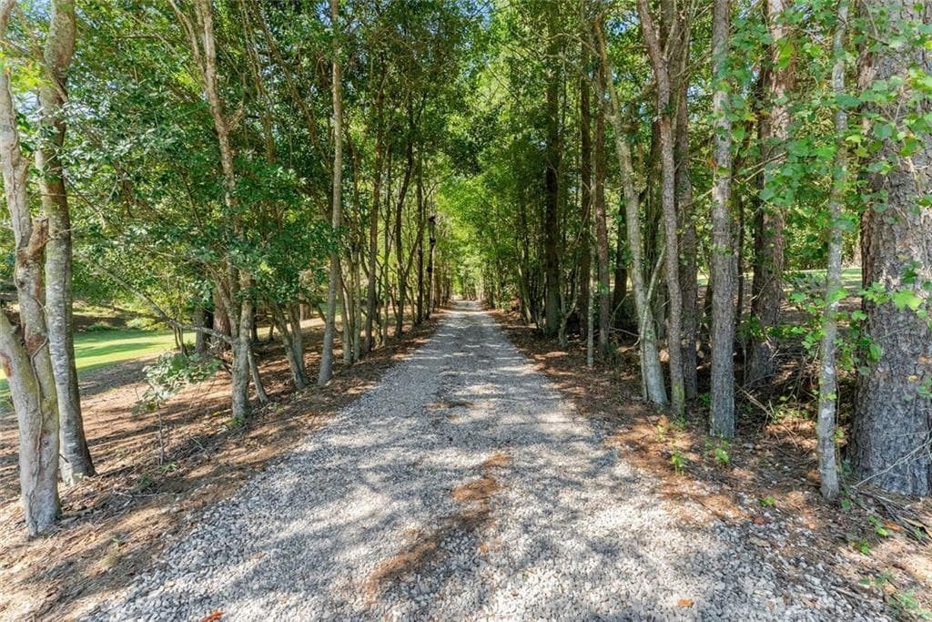 4 bedroom, 5 bathroom, 3,264 sq ft single family residence for sale at 901 Peachtree Cove, Demorest, GA 30535 — photo 6