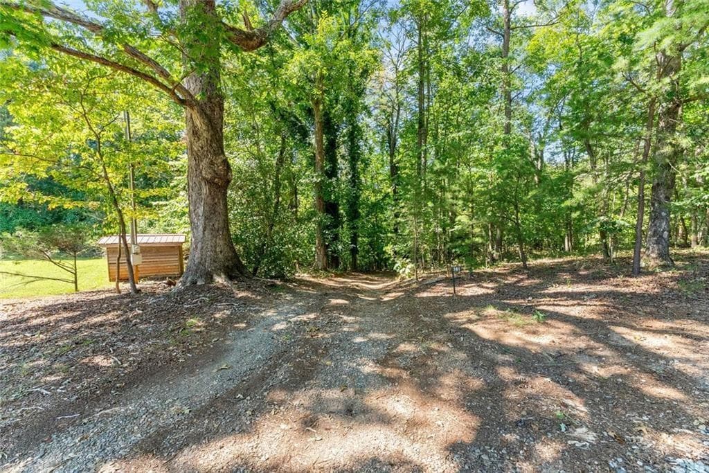 4 bedroom, 5 bathroom, 3,264 sq ft single family residence for sale at 901 Peachtree Cove, Demorest, GA 30535 — photo 7