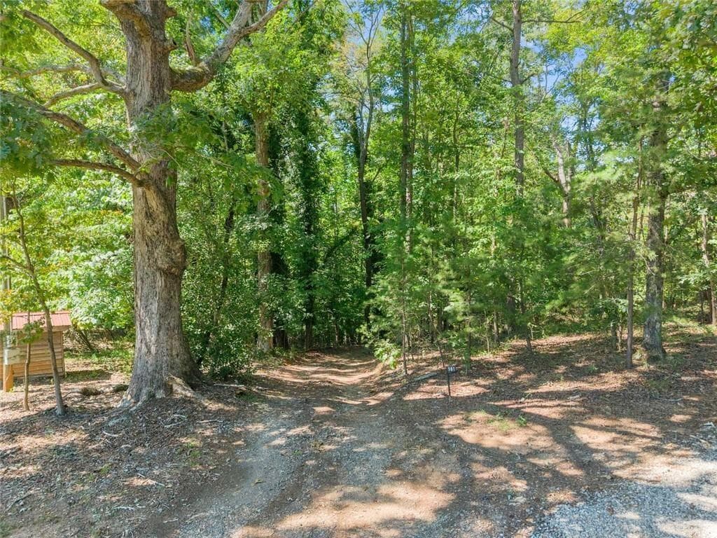4 bedroom, 5 bathroom, 3,264 sq ft single family residence for sale at 901 Peachtree Cove, Demorest, GA 30535 — photo 8