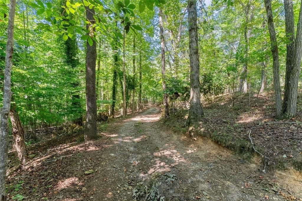 4 bedroom, 5 bathroom, 3,264 sq ft single family residence for sale at 901 Peachtree Cove, Demorest, GA 30535 — photo 9
