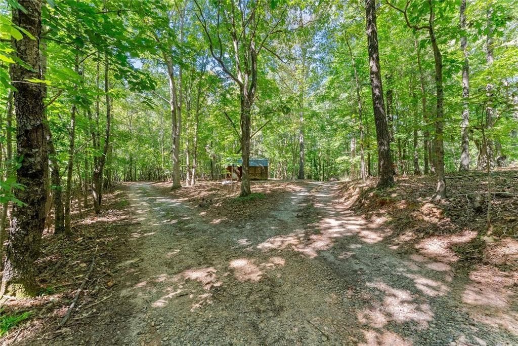 4 bedroom, 5 bathroom, 3,264 sq ft single family residence for sale at 901 Peachtree Cove, Demorest, GA 30535 — photo 10
