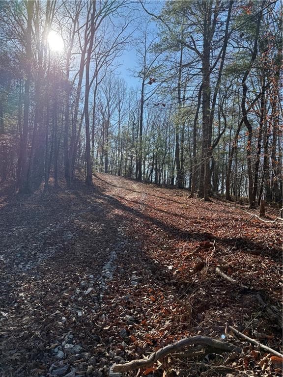 single family residence for sale at 0 Lawrence Road, Dawsonville, GA 30534 — photo 2