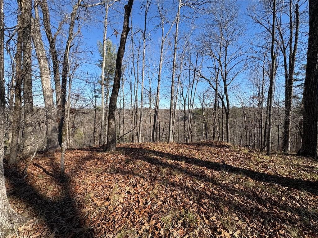 single family residence for sale at 0 Lawrence Road, Dawsonville, GA 30534 — photo 3