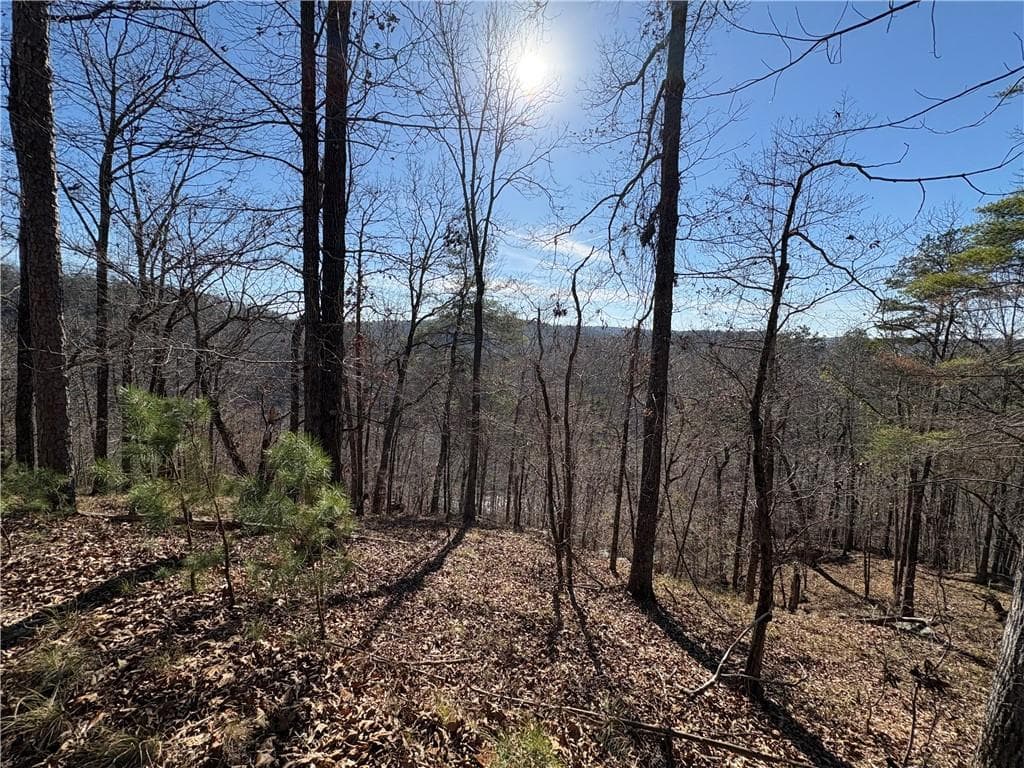 single family residence for sale at 0 Lawrence Road, Dawsonville, GA 30534 — photo 4