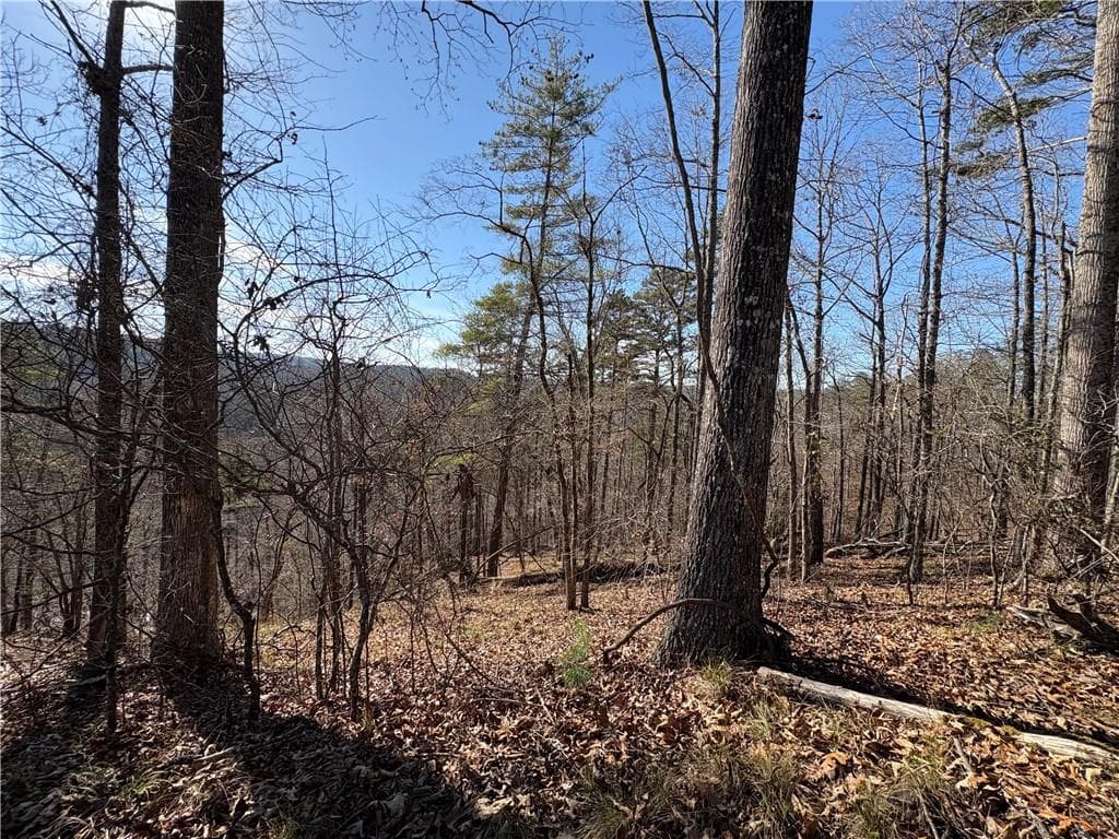 single family residence for sale at 0 Lawrence Road, Dawsonville, GA 30534 — photo 5