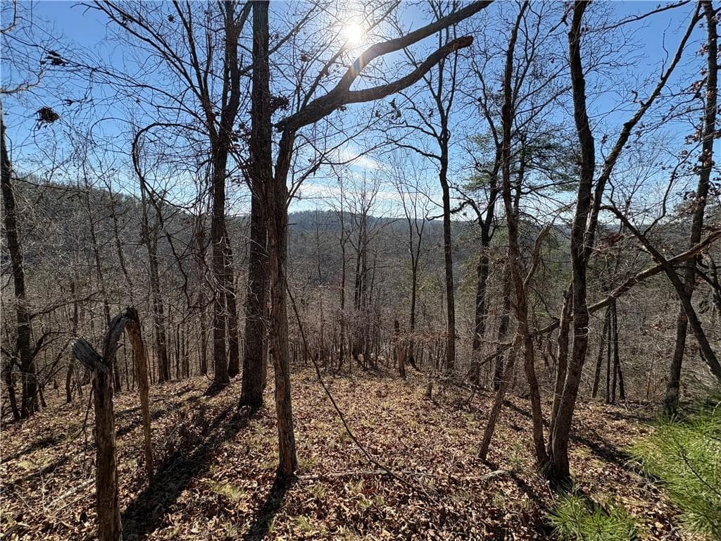 single family residence for sale at 0 Lawrence Road, Dawsonville, GA 30534 — photo 6