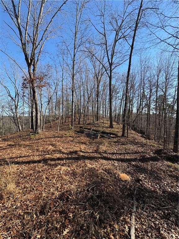 single family residence for sale at 0 Lawrence Road, Dawsonville, GA 30534 — photo 7