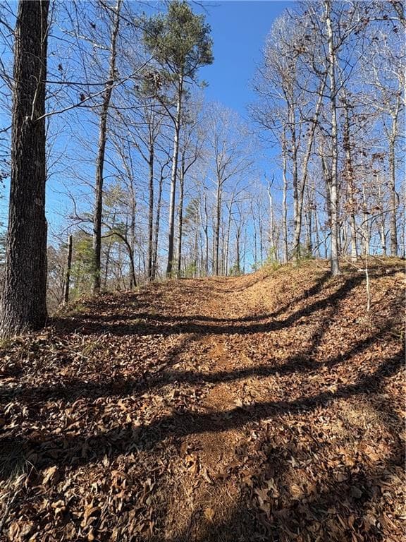 single family residence for sale at 0 Lawrence Road, Dawsonville, GA 30534 — photo 8