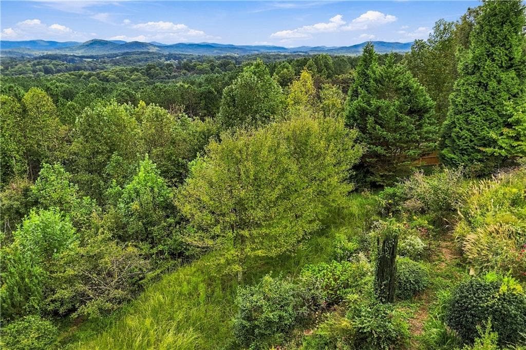 4 bedroom, 5 bathroom, 4,404 sq ft single family residence for sale at 100 Foxpaw Leaf Court, Ellijay, GA 30536 — photo 3