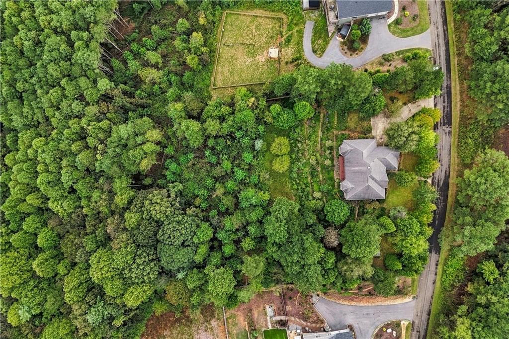 4 bedroom, 5 bathroom, 4,404 sq ft single family residence for sale at 100 Foxpaw Leaf Court, Ellijay, GA 30536 — photo 4