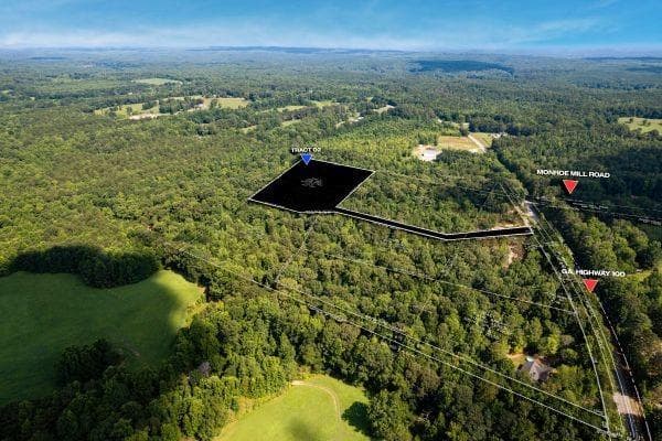 unimproved land for sale at 7804 Georgia Highway 100, Buchanan, GA 30113