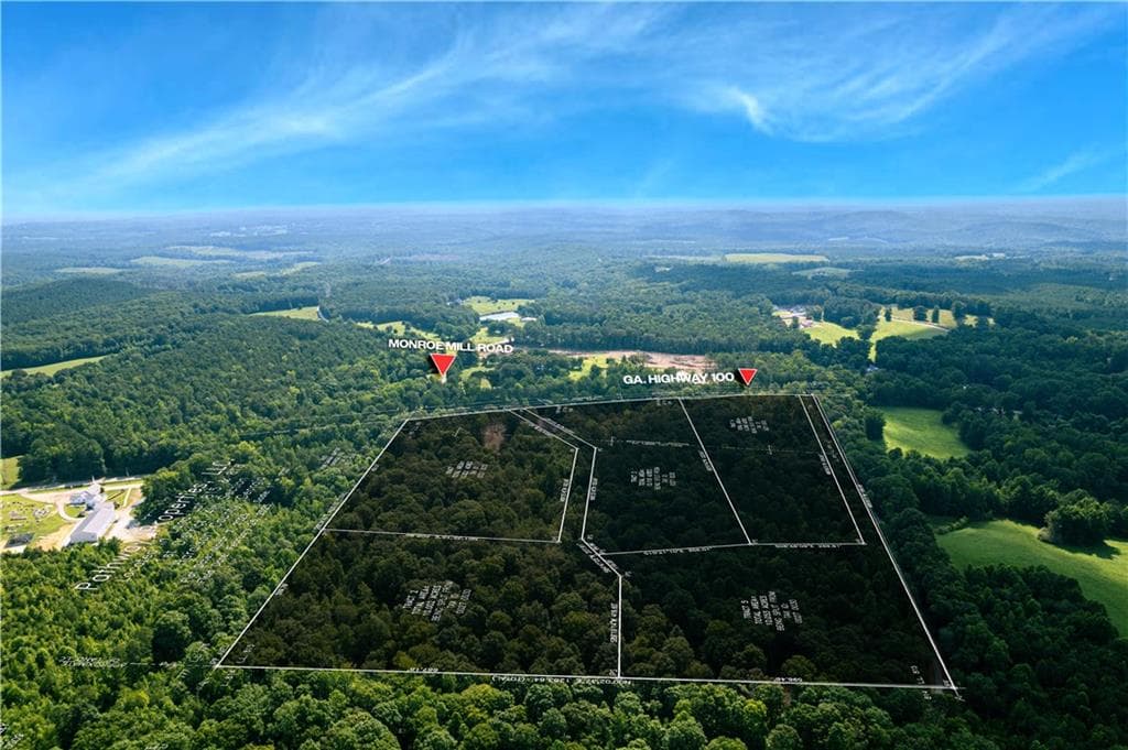 unimproved land for sale at 7804 Georgia Highway 100, Buchanan, GA 30113 — photo 2