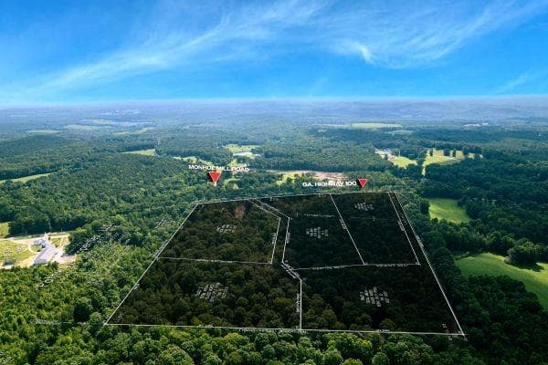 unimproved land for sale at 7804 Georgia Highway 100, Buchanan, GA 30113 — photo 3