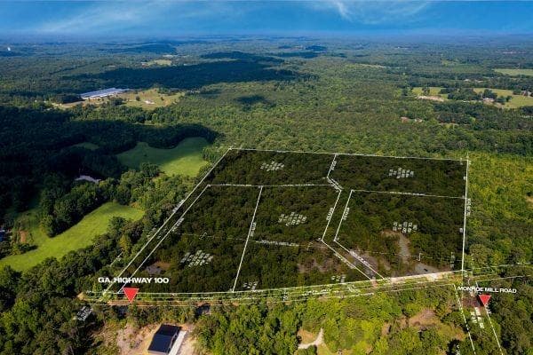 unimproved land for sale at 7804 Georgia Highway 100, Buchanan, GA 30113 — photo 4