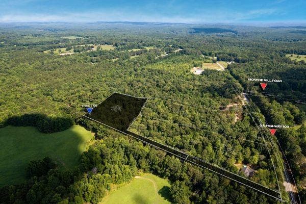 unimproved land for sale at 7804 Georgia Highway 100, Buchanan, GA 30113 — photo 7