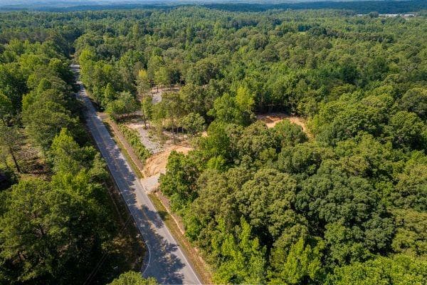 unimproved land for sale at 7804 Georgia Highway 100, Buchanan, GA 30113 — photo 10
