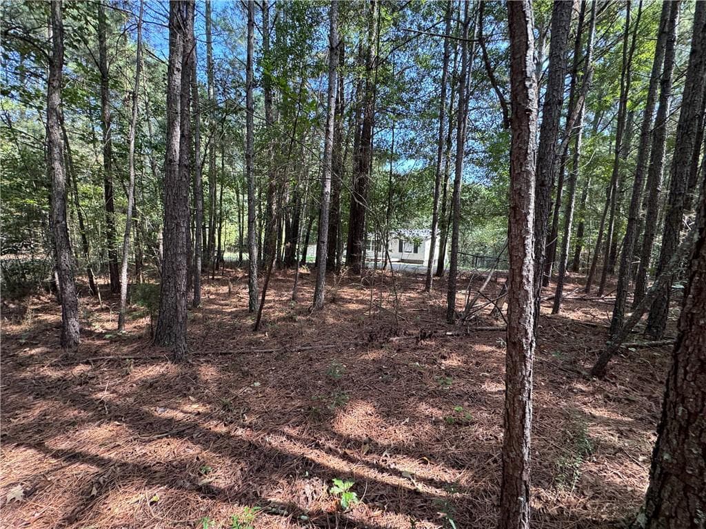 mobile home for sale at 697 Donahoo Road, Silver Creek, GA 30173 — photo 9