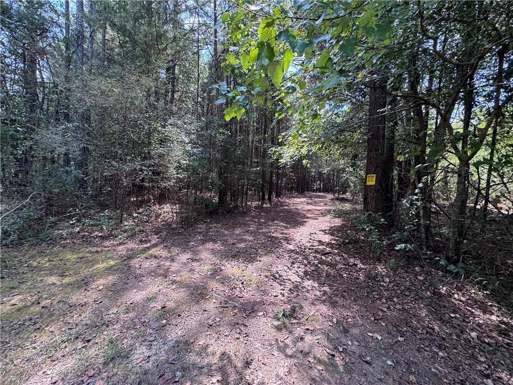 mobile home for sale at 697 Donahoo Road, Silver Creek, GA 30173 — photo 6