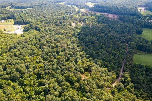 unimproved land for sale at 7704 Georgia Highway 100, Buchanan, GA 30113 — photo 9