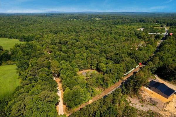 unimproved land for sale at 7704 Georgia Highway 100, Buchanan, GA 30113 — photo 10