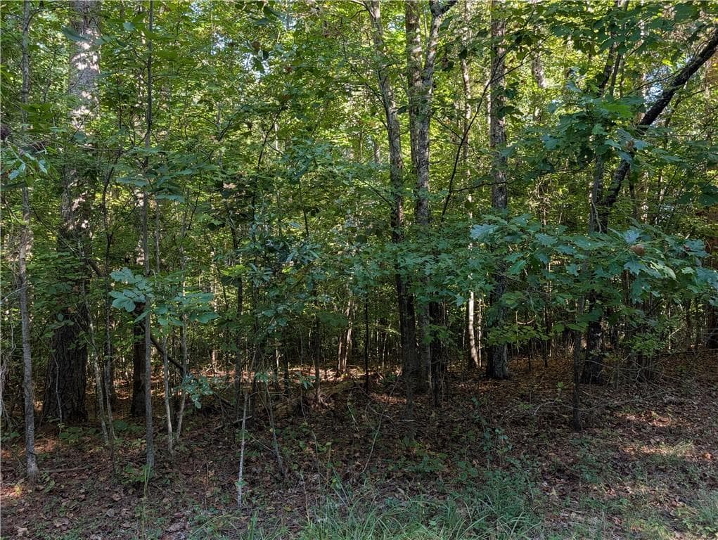3 bedroom, 1 bathroom unimproved land for sale at 1518 Kelly Mill Road, Cumming, GA 30040 — photo 3