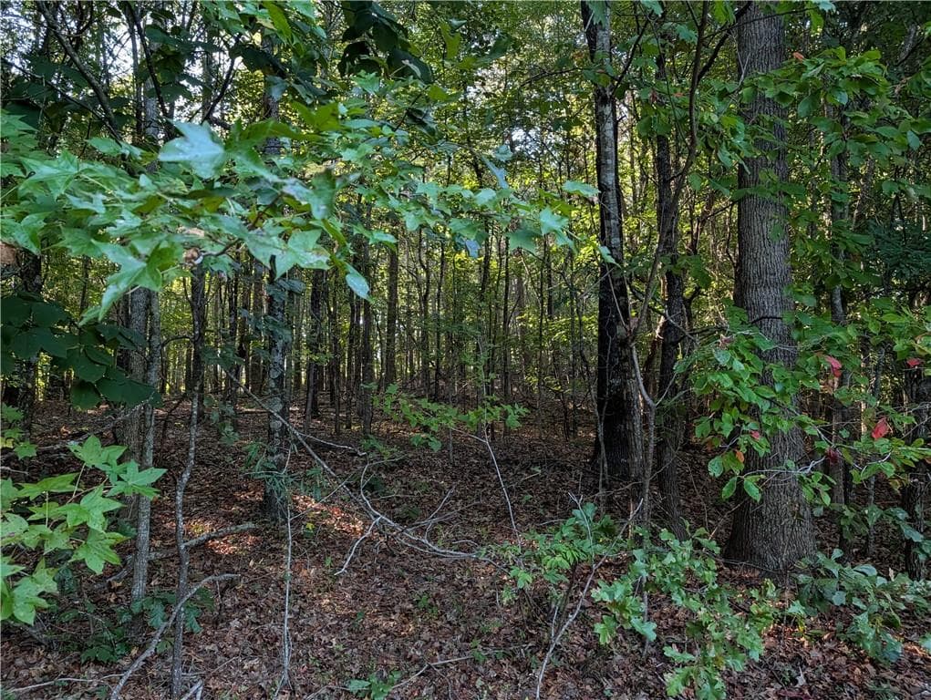 3 bedroom, 1 bathroom unimproved land for sale at 1518 Kelly Mill Road, Cumming, GA 30040 — photo 4