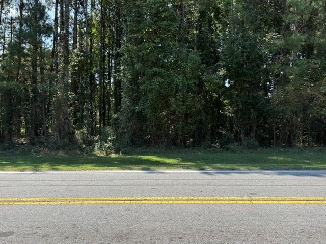 unimproved land for sale at 00 Bethsaida Road, South Fulton, GA 30296 — photo 1 of 4