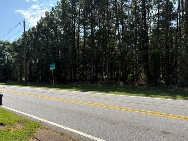 unimproved land for sale at 00 Bethsaida Road, South Fulton, GA 30296 — photo 2
