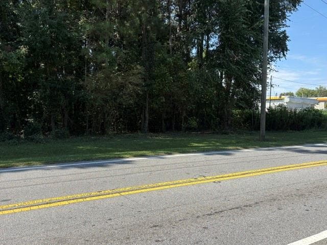 unimproved land for sale at 00 Bethsaida Road, South Fulton, GA 30296 — photo 3