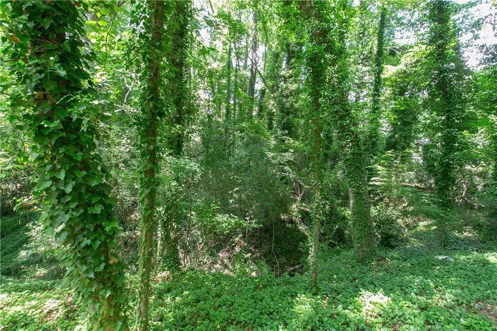 other for sale at 577 Lynhurst Drive, Atlanta, GA 30311 — photo 2