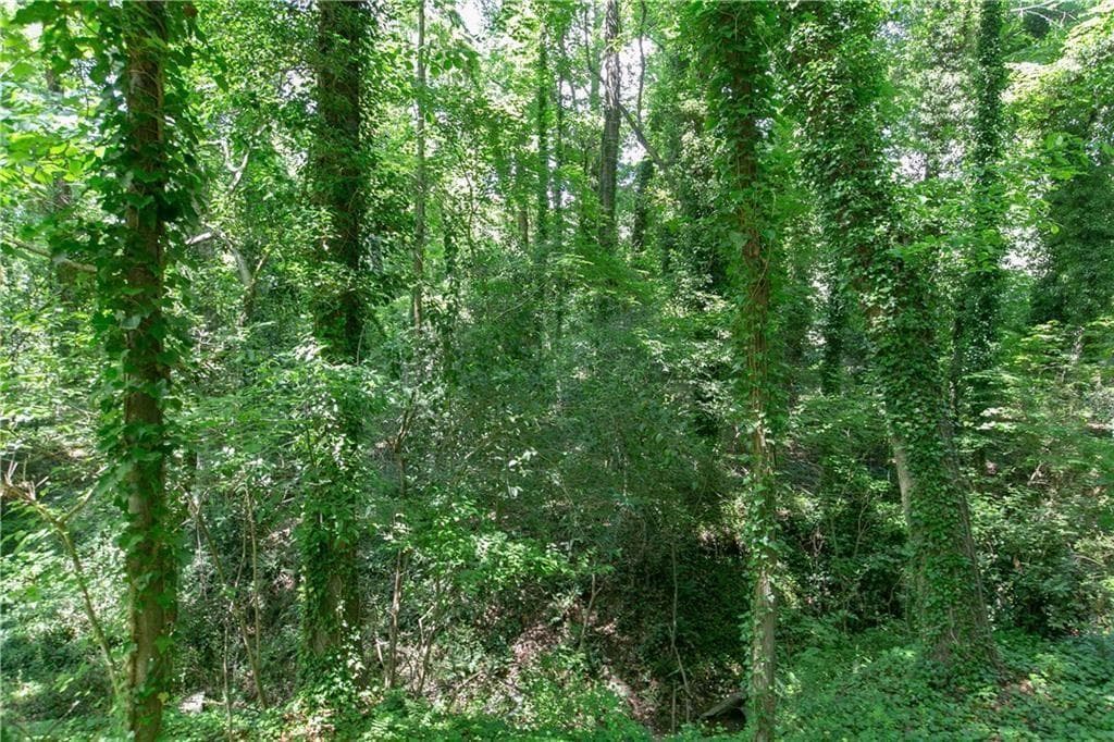 other for sale at 577 Lynhurst Drive, Atlanta, GA 30311 — photo 3
