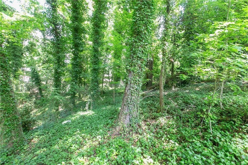 other for sale at 577 Lynhurst Drive, Atlanta, GA 30311 — photo 4