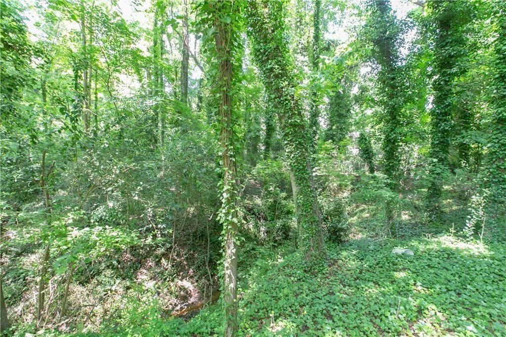 other for sale at 577 Lynhurst Drive, Atlanta, GA 30311 — photo 5
