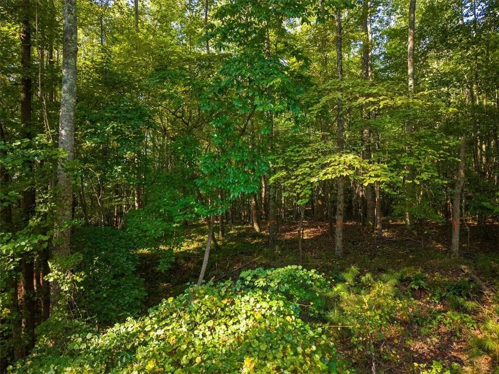 unimproved land for sale at 00 Cox Road, Roswell, GA 30075 — photo 5