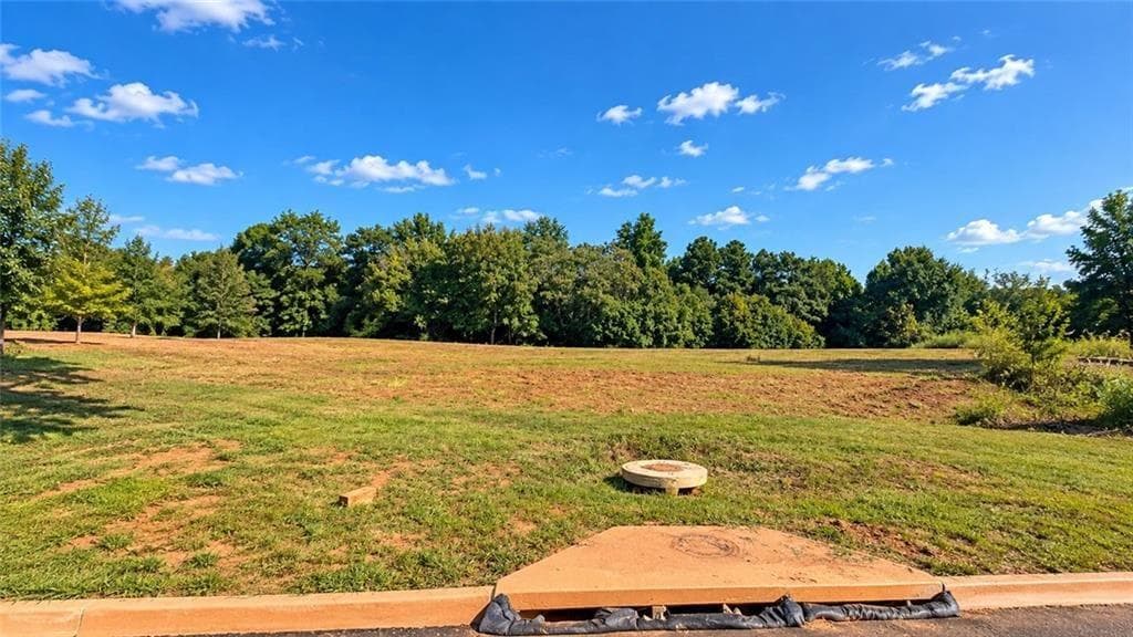 unimproved land for sale at 8005 Grand Meadow Run, Gainesville, GA 30506 — photo 2