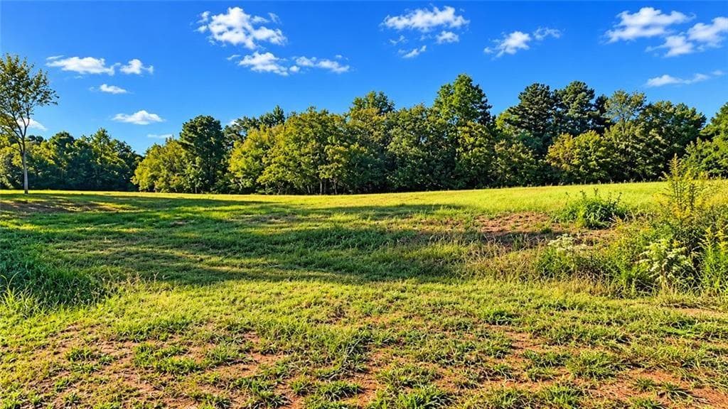 unimproved land for sale at 8005 Grand Meadow Run, Gainesville, GA 30506 — photo 3