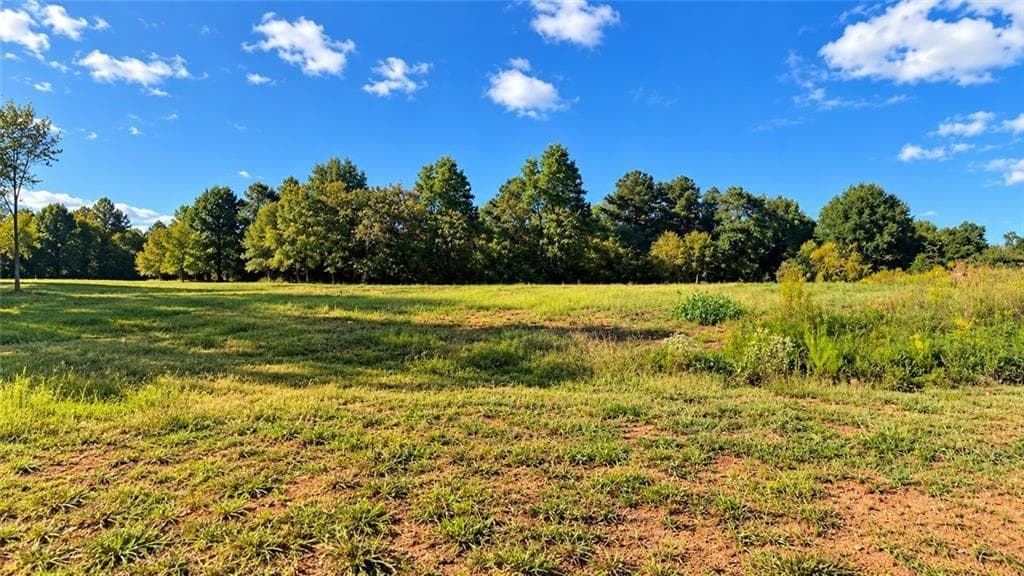 unimproved land for sale at 8005 Grand Meadow Run, Gainesville, GA 30506 — photo 4