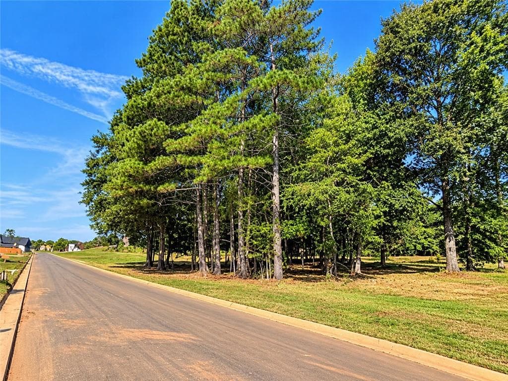 unimproved land for sale at 8005 Grand Meadow Run, Gainesville, GA 30506 — photo 5
