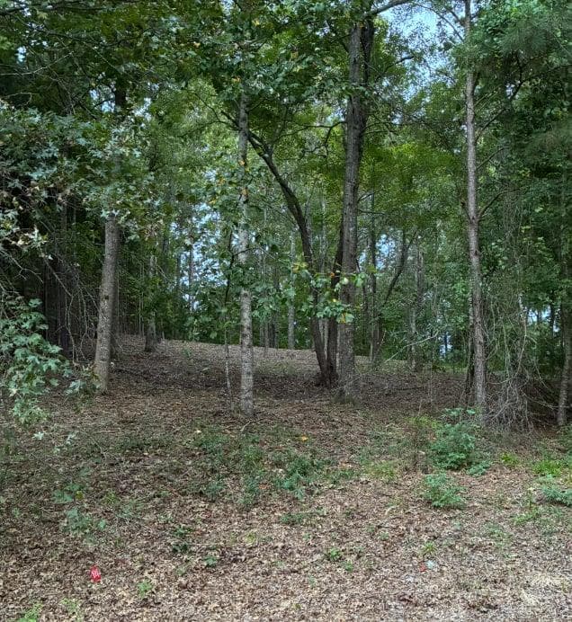 unimproved land for sale at 126 Big Cotton Trail, Mcdonough, GA 30252 — photo 3