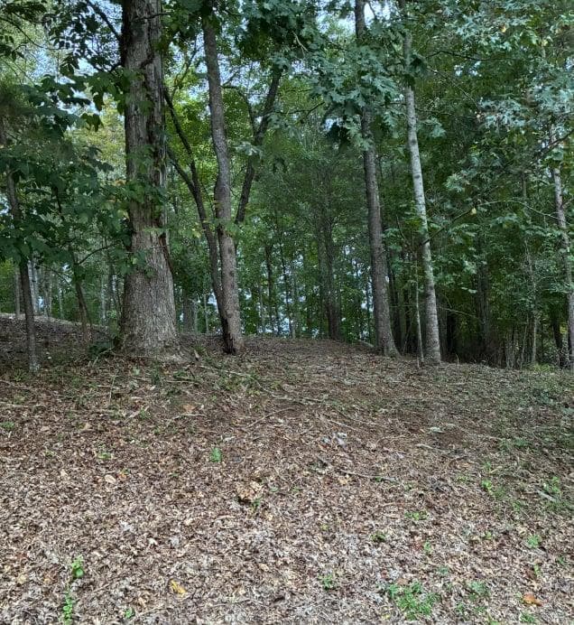 unimproved land for sale at 126 Big Cotton Trail, Mcdonough, GA 30252 — photo 5