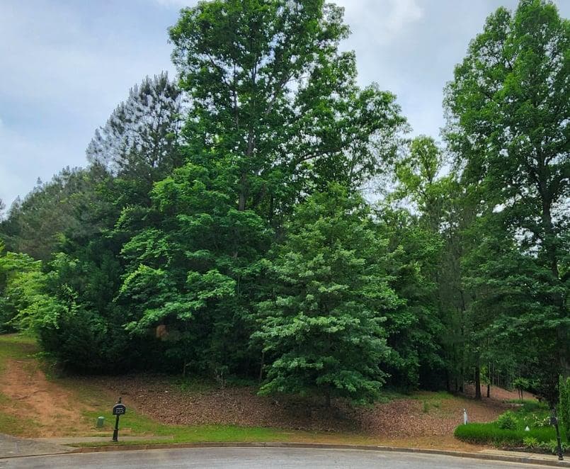unimproved land for sale at 126 Big Cotton Trail, Mcdonough, GA 30252 — photo 6